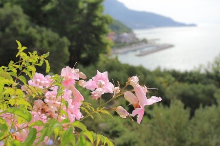 Apartmány 3298-5006 - 65