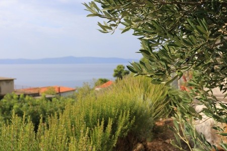 Apartmány 3298-5006 - 66