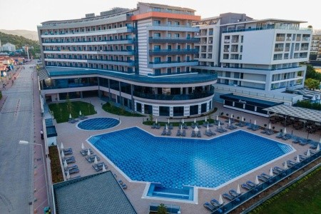 Lonicera Premium - 2