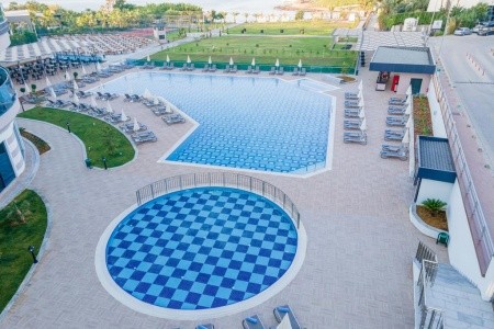 Lonicera Premium - 5