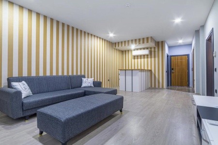 Lonicera Premium - 17