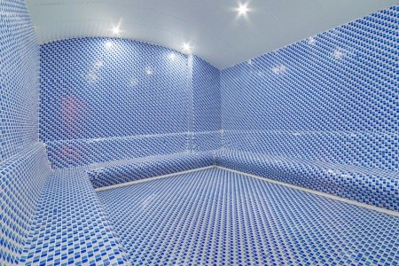 Lonicera Premium - 20