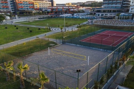 Lonicera Premium - 25