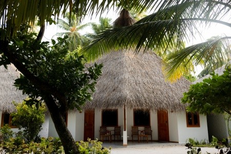 Fihalhohi Island Resort - 31