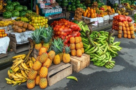 Ekvádor - od rovníku do Amazonie - 9