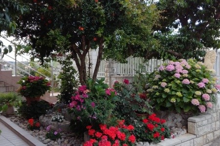 Apartmány 3298-1840 - 58