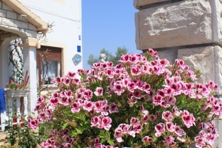 Apartmány 3298-1840 - 60