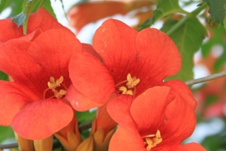 Apartmány 3298-1840 - 61