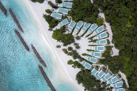 Niva Dhigali Maldives - 50