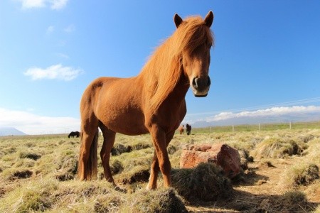 Island - náročnější trekking - Laugavegur - 26