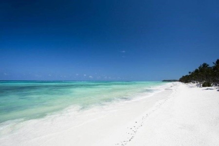 Karafuu Beach Resort & Spa - 9