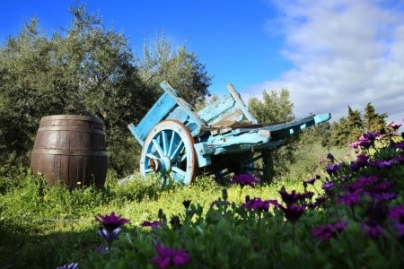 Agriturismo Guthiddai (Nuoro) - 49