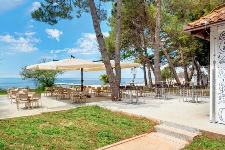 Apartments Polynesia Plava Laguna - 17