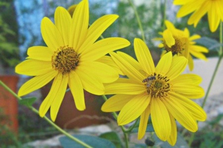 Apartmány 3298-208 - 14