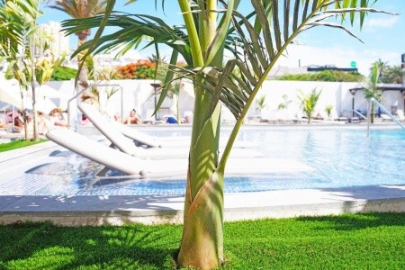 Alexandre Troya - 23