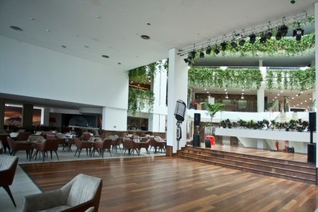 Alexandre Gala (Ex. Lti Gala) - 36