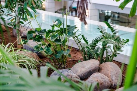 Kanárske ostrovy Tenerife Spring Vulcano 12 dňový pobyt Raňajky Letecky Letisko: Budapešť August 2026 (28/08/26- 8/09/26)