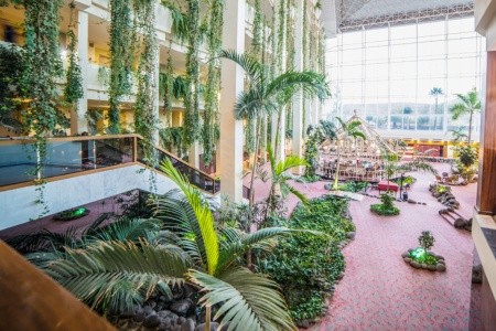 Beatriz Costa & Spa - 10