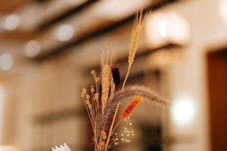 Sheraton Soma Bay - 223