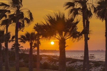 Hilton Skanes Monastir Beach Resort (Ex. Skanes El Hana) - 5