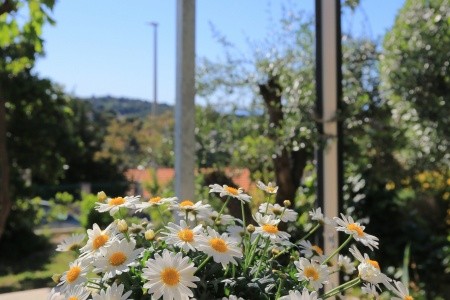 Apartmány 3298-3276 - 14