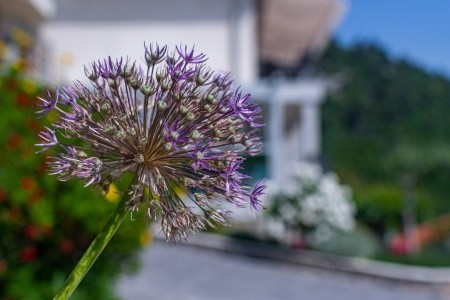 Apartmány 3298-1689 - 70