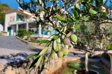 Apartmány 3298-1689 - 72