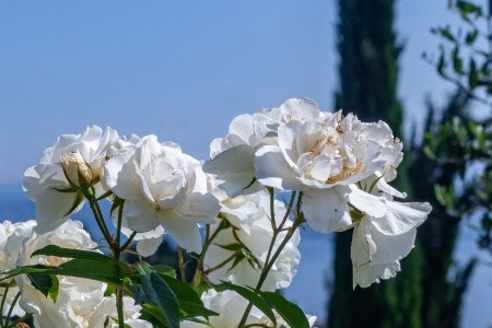 Apartmány 3298-1689 - 73