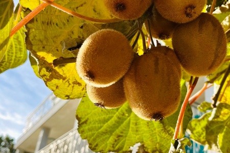 Apartmány 3298-1689 - 75