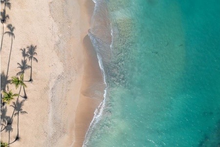 Wyndham Alltra Punta Cana (Ex. Jewel Punta Cana) - 63