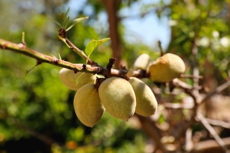 Pokoje 3298-6900 - 11