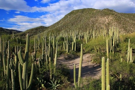 Velký okruh Mexikem - 1