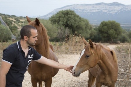 Agriturismo S'ozzastru (Dorgali) - 61