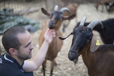 Agriturismo S'ozzastru (Dorgali) - 62