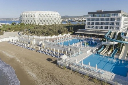 Lonicera West (Ex.gold Island Mondo) - 41