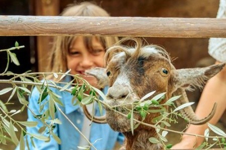 Mirabello Bay Luxury Resort (Ex. Wyndham Grand Crete Mirabello Bay) - 432