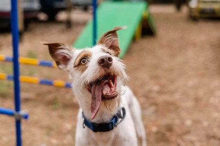 Jesolo Mare Family Village - 34