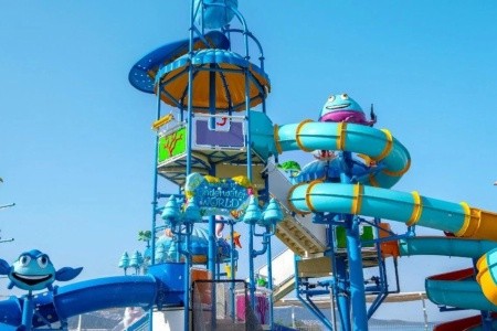 Maxeria Blue Didyma - 6