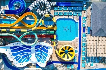 Maxeria Blue Didyma - 11