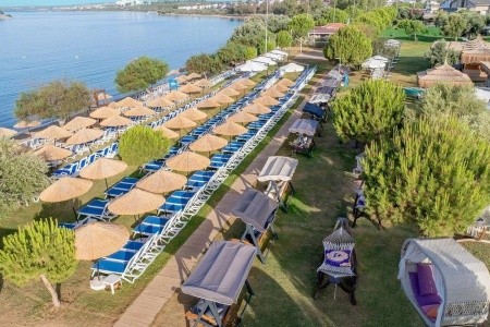 Maxeria Blue Didyma - 12