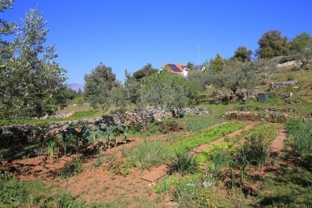 Robinzonáda 3298-3766 - 34