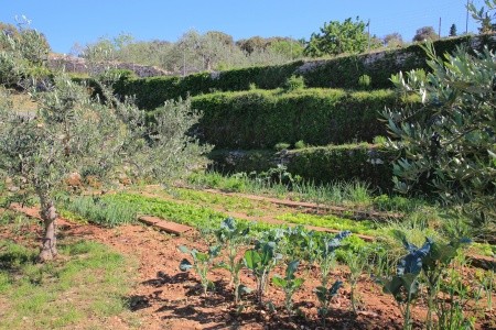 Robinzonáda 3298-3766 - 35