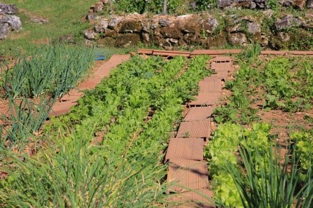 Robinzonáda 3298-3766 - 36