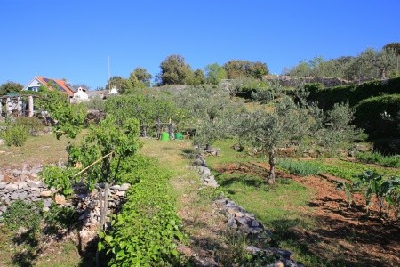 Robinzonáda 3298-3766 - 38