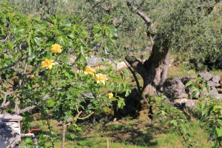 Robinzonáda 3298-3766 - 39