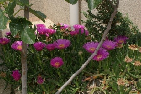 Apartmány 3298-689 - 18