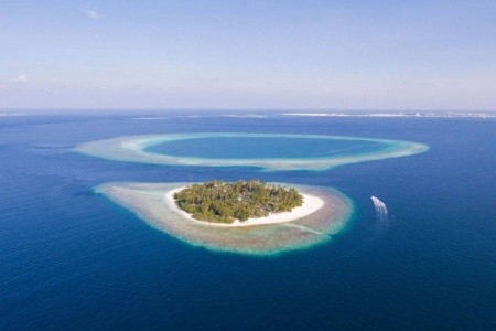 Malahini Kuda Bandos - 3