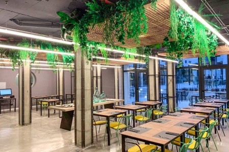 Mac Paradiso Garden - 3