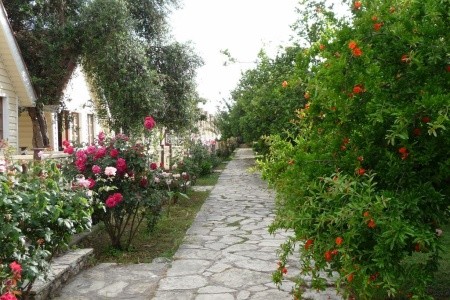 Clover Magic Nova Beach - 3