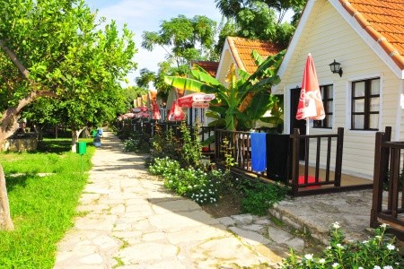 Clover Magic Nova Beach - 7